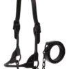 Weaver Leather Black Magic Show Halter, 20 in. Chain, 36 in. Lead -WEAVER LEATHER Sales 1022541