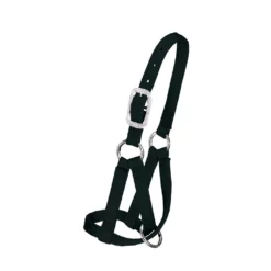 Weaver Leather 3/4 in. Criss-Cross Llama Halter, Medium/Large, Black