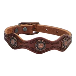 Weaver Leather Sundance Dog Collar