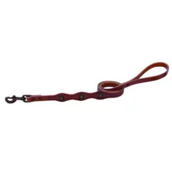Weaver Leather Sundance Dog Leash, 3/4 in. x 4 ft.
