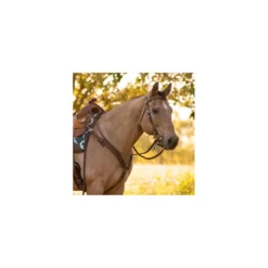 Weaver Leather Austin Browband Headstall, 10-0350 -WEAVER LEATHER Sales 1119820 A1