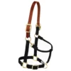 Weaver Leather Original Breakaway Horse Halter with Adjustable Chin and Throat Snap, 35-6024-BK -WEAVER LEATHER Sales 1120205