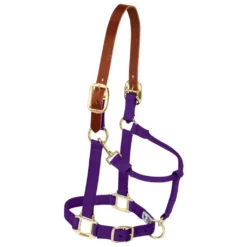 Weaver Leather Original Breakaway Horse Halter with Adjustable Chin and Throat Snap, 35-6024-BK -WEAVER LEATHER Sales 1120207