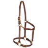 Weaver Leather Track Halter, 3/4 in. Leather, Cob, Mahogany, 10-0153 -WEAVER LEATHER Sales 1196620