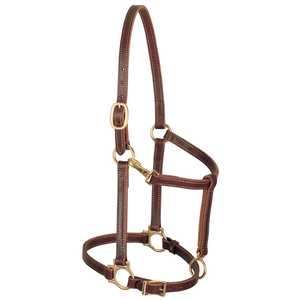 Weaver Leather Track Halter, 3/4 in. Leather, Cob, Mahogany, 10-0153 3 Weaver Leather Track Halter, 3/4 in. Leather, Cob, Mahogany, 10-0153