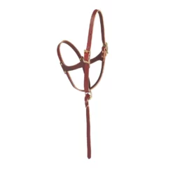 Weaver Leather Figure 8 Foal Halter, 5/8 in. Leather, Suckling, Burgundy, 10-0190