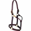 Weaver Leather Thoroughbred Halter without Snap, 20-0506 -WEAVER LEATHER Sales 1196627