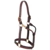 Weaver Leather Leather Thoroughbred Halter with Snap, 1 in., 20-0511 -WEAVER LEATHER Sales 1196629