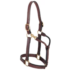 Weaver Leather Leather Thoroughbred Halter with Snap, 1 in., 20-0511