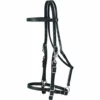 Weaver Leather Brahma Webb Halter Bridle, 35-2070-BK -WEAVER LEATHER Sales 1197141