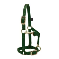 Weaver Leather Miniature Horse Halter with Adjustable Chin and Throat Snap, 5/8 in., 35-4800-BL -WEAVER LEATHER Sales 1200736