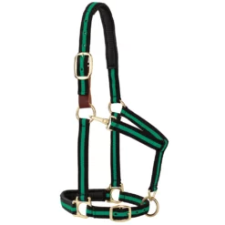 Weaver Leather Halter with Padded Breakaway Adjustable Chin and Throat Snap, Striped Print, 35-6065-GR