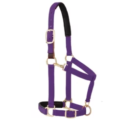Weaver Leather Halter with Padded Breakaway Adjustable Chin and Throat Snap, 1 in., Average Horse, 35-6075-RD -WEAVER LEATHER Sales 1200762