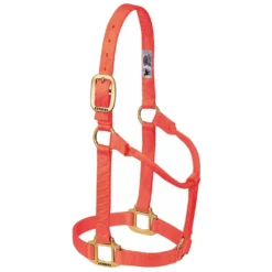 Weaver Leather Original Non-Adjustable Halter, 35-7004-EG -WEAVER LEATHER Sales 1200861