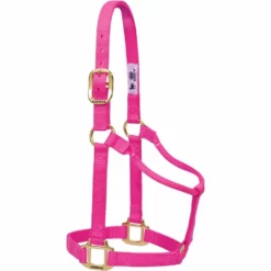 Weaver Leather Original Non-Adjustable Halter, 35-7004-EG -WEAVER LEATHER Sales 1200863