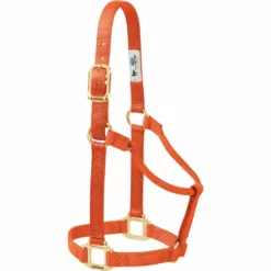 Weaver Leather Original Non-Adjustable Halter, 35-7004-EG -WEAVER LEATHER Sales 1200867