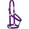 Weaver Leather Basic Non-Adjustable Halter, 35-7404-GR -WEAVER LEATHER Sales 1200940