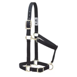 Weaver Leather Basic Halter with Adjustable Chin and Throat Snap, 1 in., 35-7434-BL 9 Weaver Leather Basic Halter with Adjustable Chin and Throat Snap, 1 in., 35-7434-BL -WEAVER LEATHER Sales 1200958