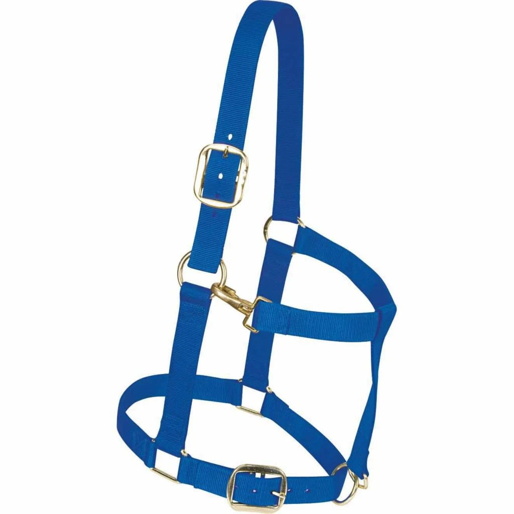 Weaver Leather Nylon Draft Halter 5 Weaver Leather Nylon Draft Halter - Image 3