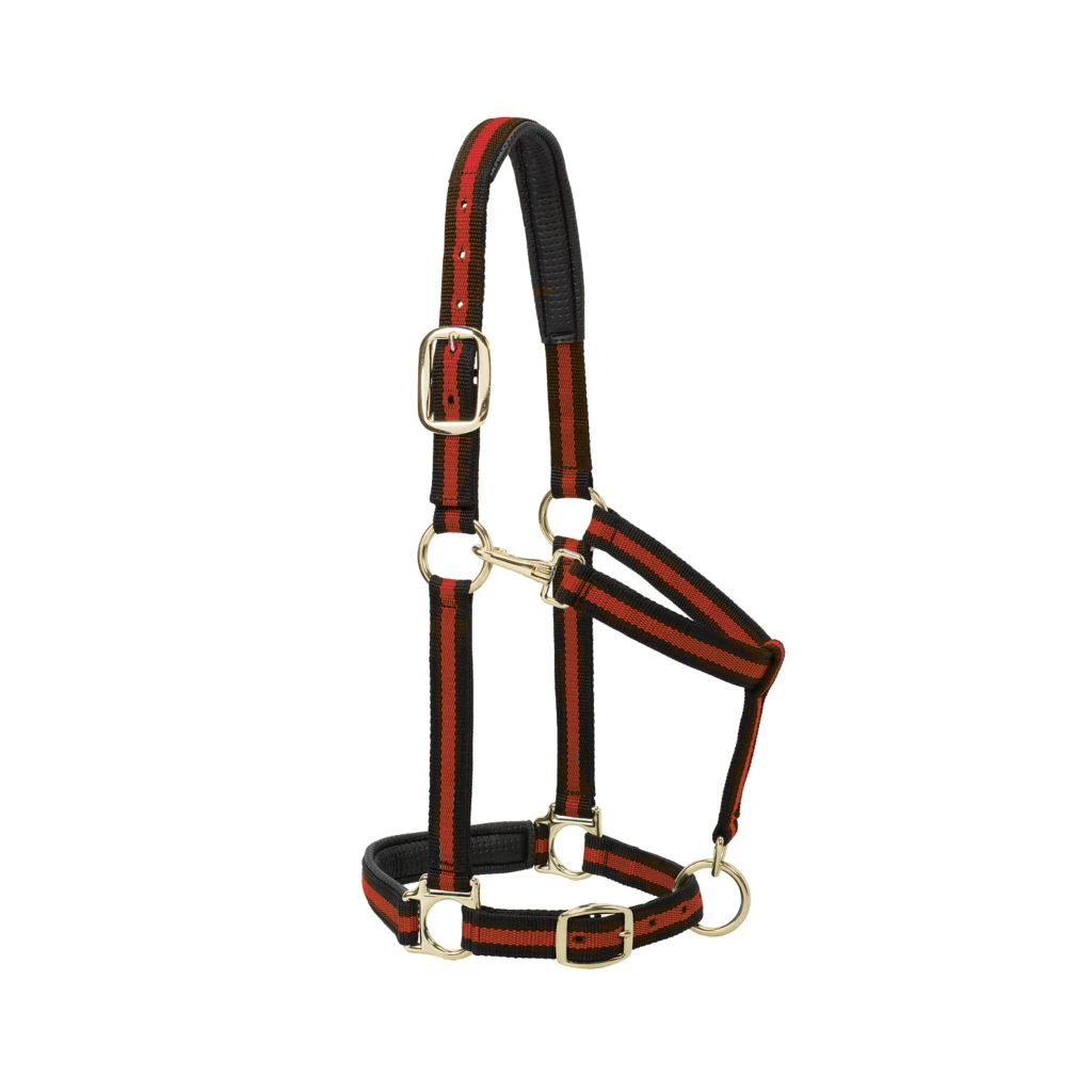 Weaver Leather Halter with Padded Adjustable Chin and Throat Snap, Striped Print, 35-7734-PK 6 Weaver Leather Halter with Padded Adjustable Chin and Throat Snap, Striped Print, 35-7734-PK - Image 4