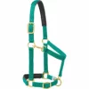 Weaver Leather Padded Adjustable Chin and Throat Snap Halter -WEAVER LEATHER Sales 1201001