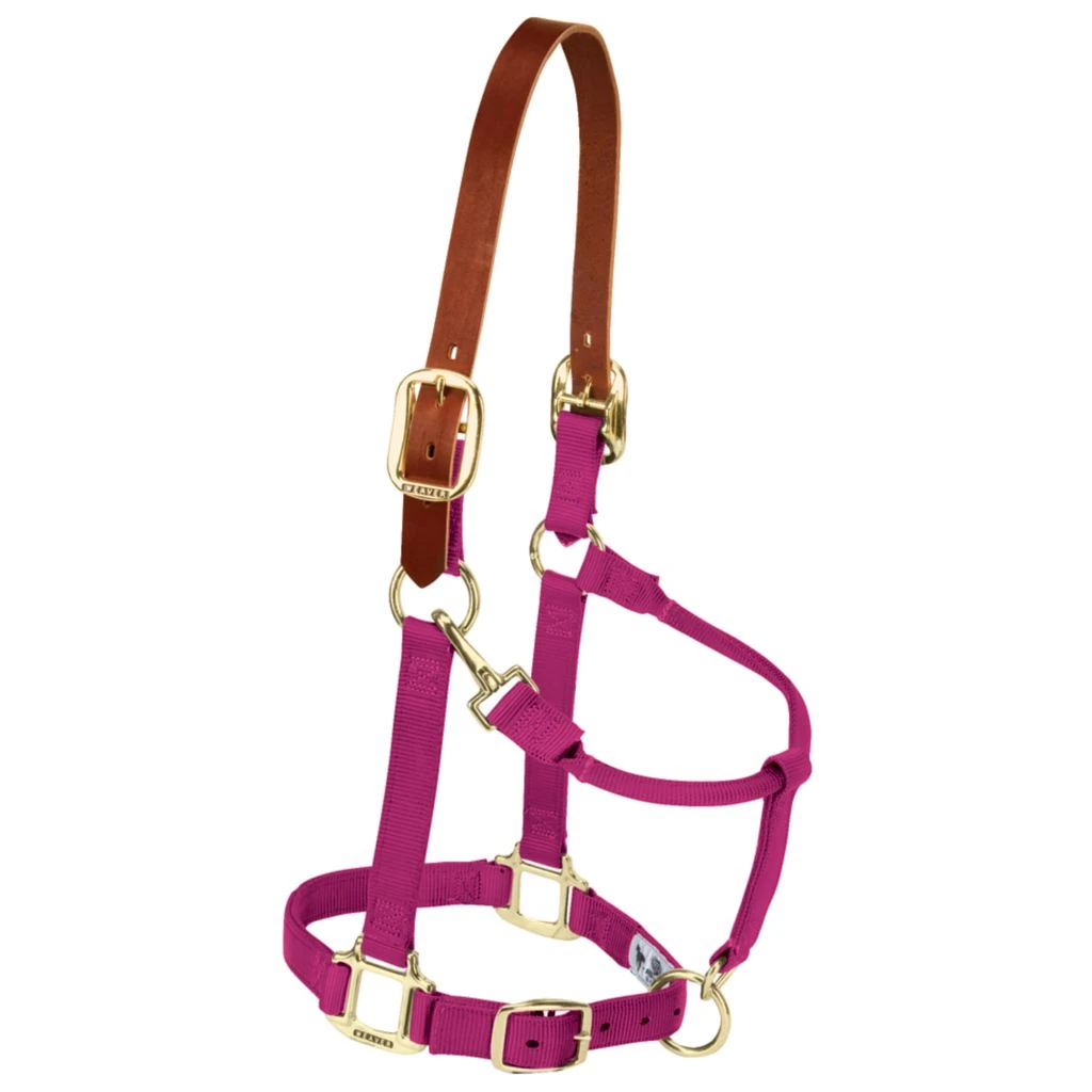 Weaver Leather Adjustable Breakaway Nylon Horse Halter, Weanling/Pony, 35-1022-OR 4 Weaver Leather Adjustable Breakaway Nylon Horse Halter, Weanling/Pony, 35-1022-OR - Image 2