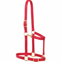 Weaver Leather Nylon Adjustable Draft Horse Halter, 1 in., Compatible with Horses 1,100 - 1,600 lb., 35-7639-RD
