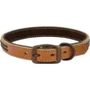 Weaver Leather Outlaw Dog Collar -WEAVER LEATHER Sales 1267243
