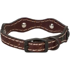 Weaver Leather Vintage Paisley Dog Collar, 06-5881-PK-17 -WEAVER LEATHER Sales 1267266 A1