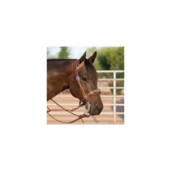 Weaver Leather Western Edge Horse Noseband, Sunset, 30-0129 -WEAVER LEATHER Sales 1284050 A1