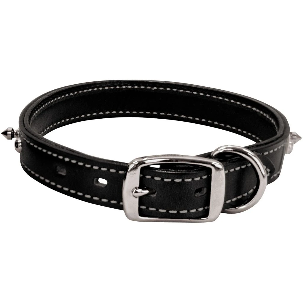 Weaver Leather Spike Dog Collar, 06-1450-25 4 Weaver Leather Spike Dog Collar, 06-1450-25 - Image 2