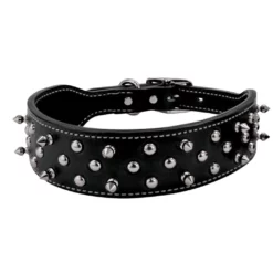 Weaver Leather Spike Dog Collar, 06-1460-23