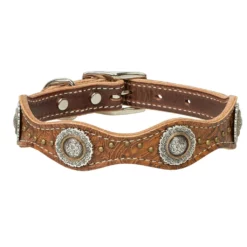 Weaver Leather Western Edge Dog Collar