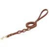 Weaver Leather Lone Star Legend Dog Leash, 3/4 in. x 4 ft., Sunset