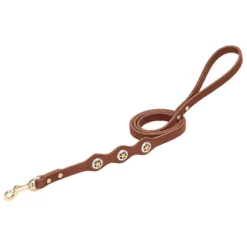 Weaver Leather Lone Star Legend Dog Leash, 3/4 in. x 4 ft., Sunset