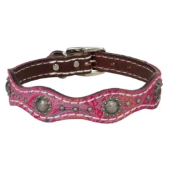 Weaver Leather Vintage Paisley Dog Collar