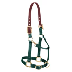 Weaver Leather Original Breakaway Horse Halter with Adjustable Chin and Throat Snap, 35-6024-BK -WEAVER LEATHER Sales 5045746